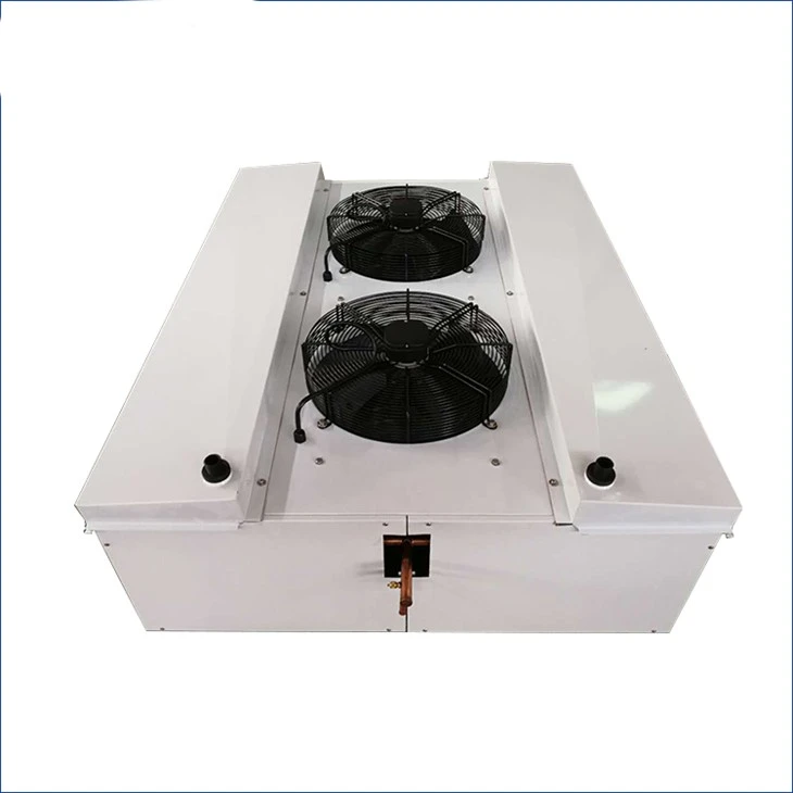 Cold Storage Indoor Unit best